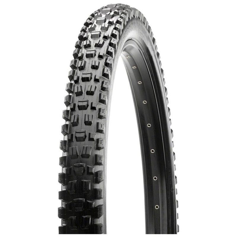 Maxxis Assegai Tire