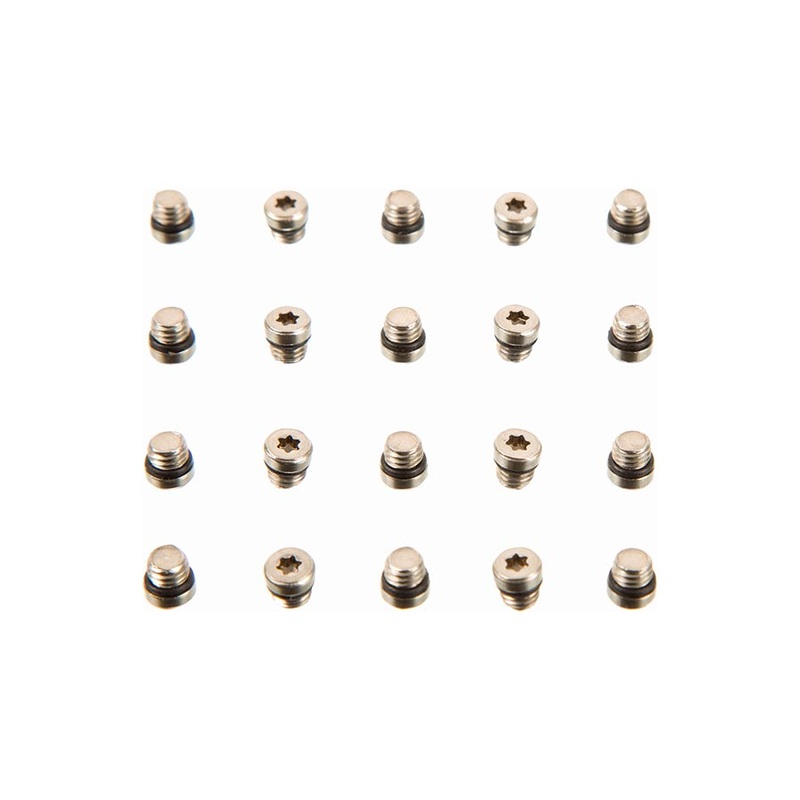 SRAM Lever Bleed Screw 20pcs