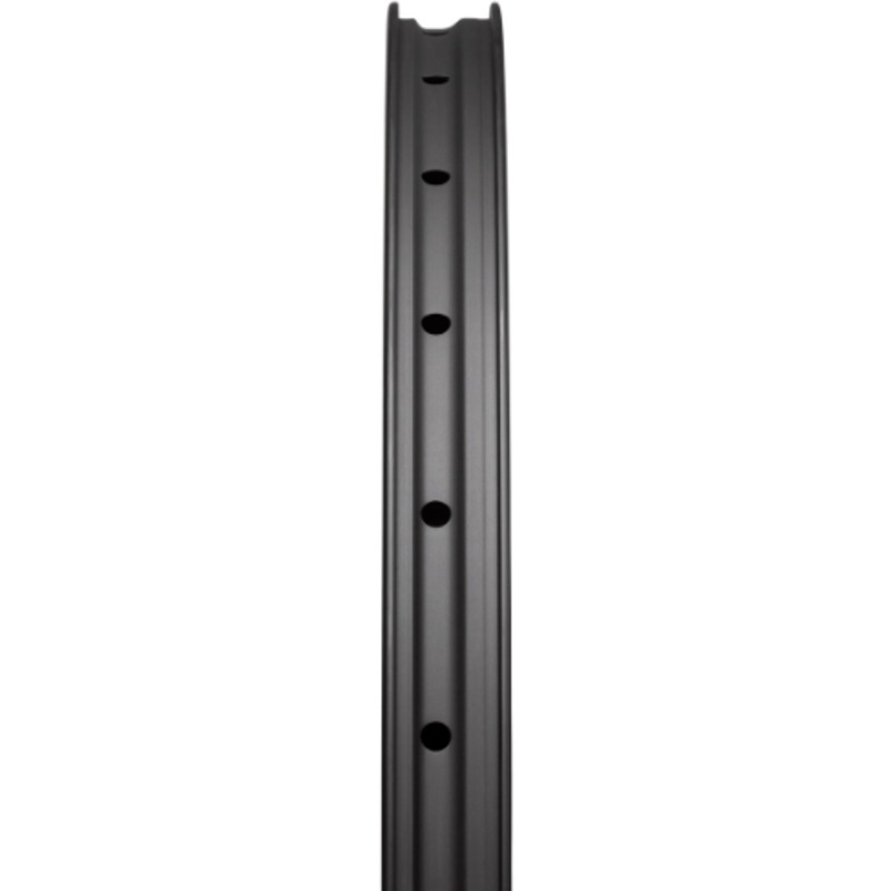 Reserve  30 HD 29″ Rim