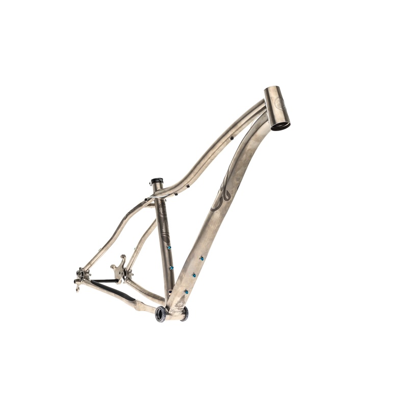 Why Cycles Wayward V.2 Medium Frame