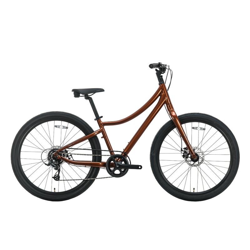 Momentum Vida Commuter Bike – 2021, Small