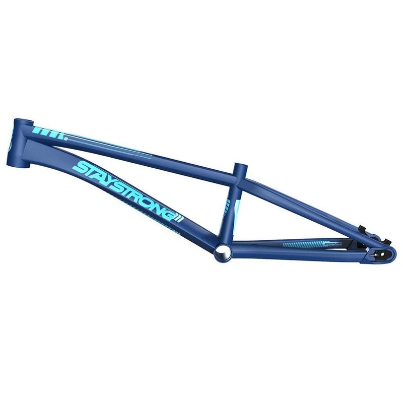 Stay Strong For Life V4 Pro L Race Frame – Disc Version