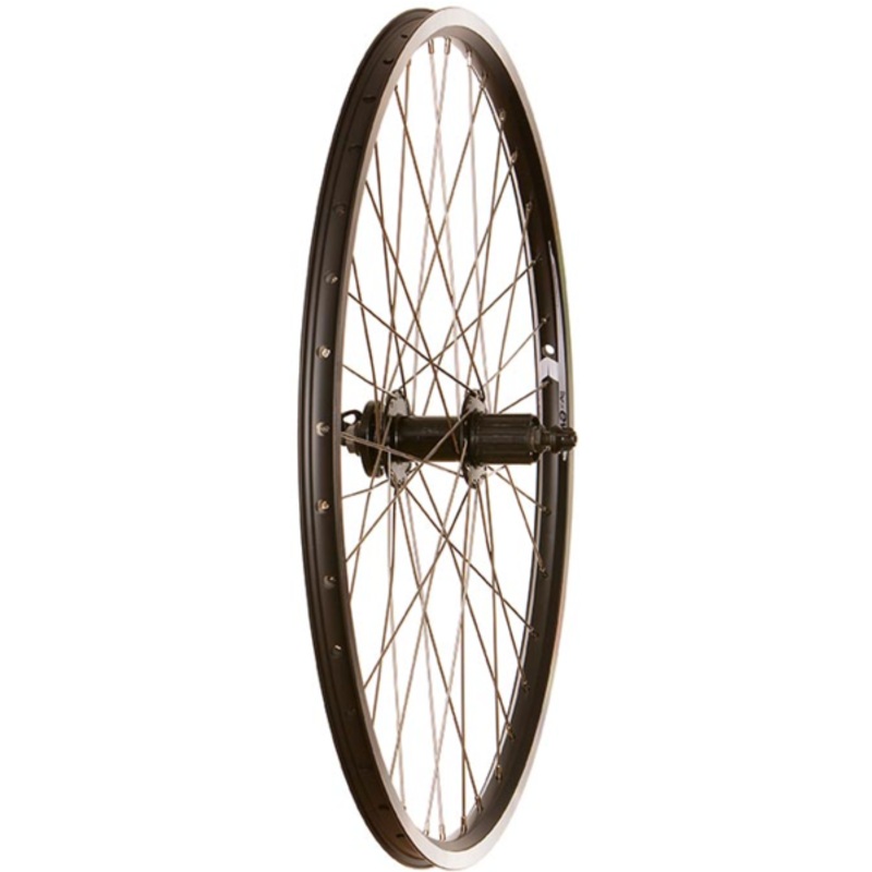 Wheel Shop Evo Tour 19 QR Rim and Disc 26-inch Rear