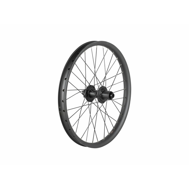Trek Cargo Bike 6-Bolt Disc 20″ Wheel Rear