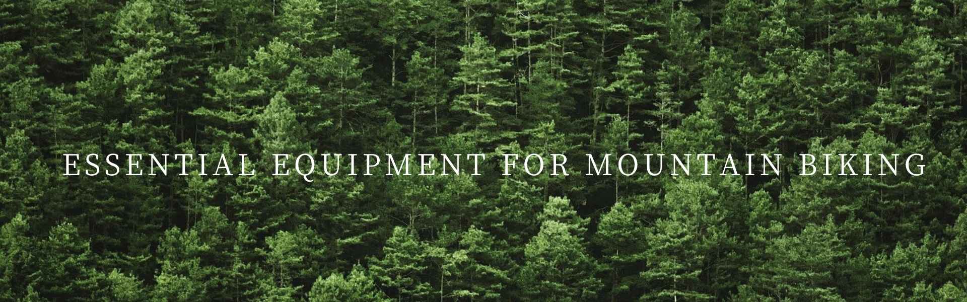 Discover a Wide Range of Road, Mountain, Fitness, Kids, Electric, Gravel, and Custom Bicycles with Quality Accessories and Expert Maintenance Services